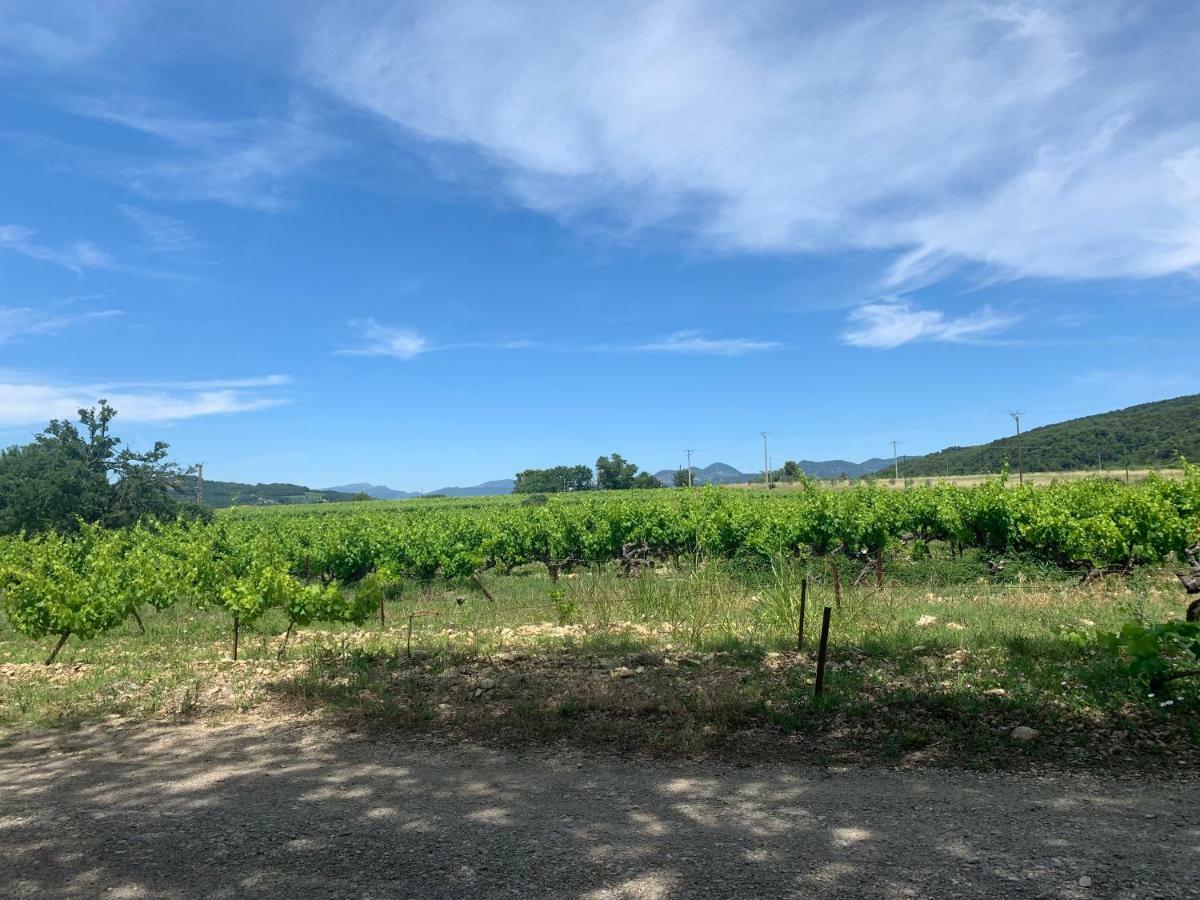 Villa Les Granges Vaison Saint-Marcellin-lès-Vaison Kültér fotó